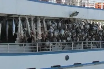 a large ship in the background