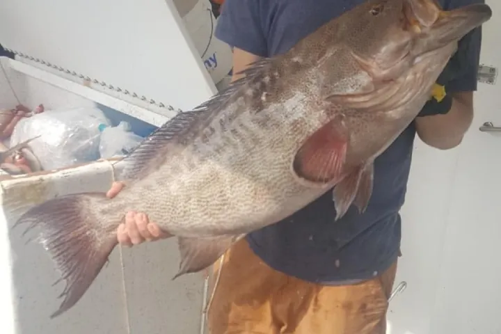 a man holding a fish