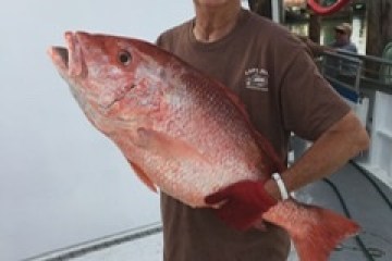 a man holding a fish