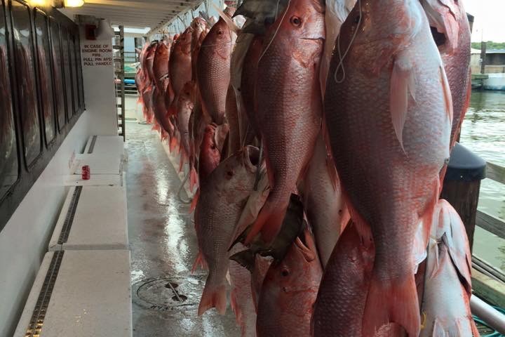 a person holding a fish