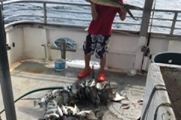 a person standing next to a body of water