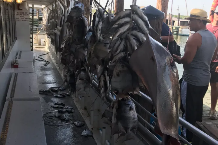 a group of people standing in front of a building