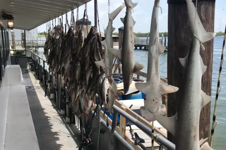 a group of people on a boat