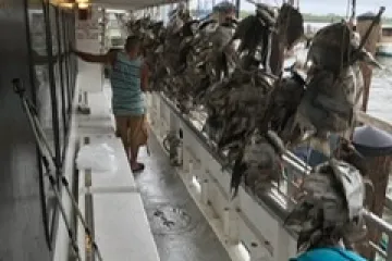 a group of people in a room