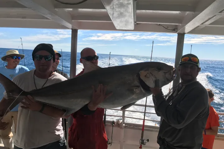 a man holding a fish