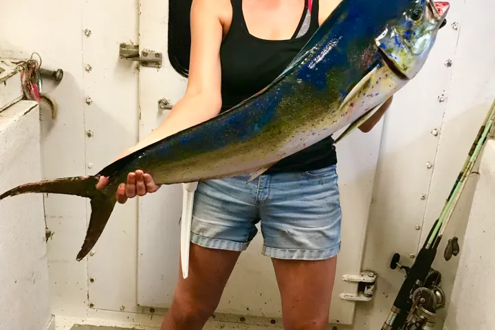 a person holding a fish