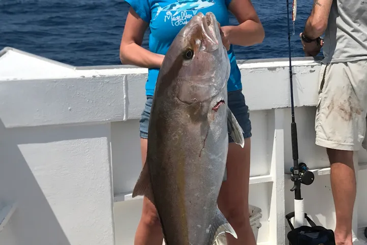 a person holding a fish in the water