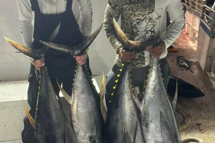 a man holding a fish