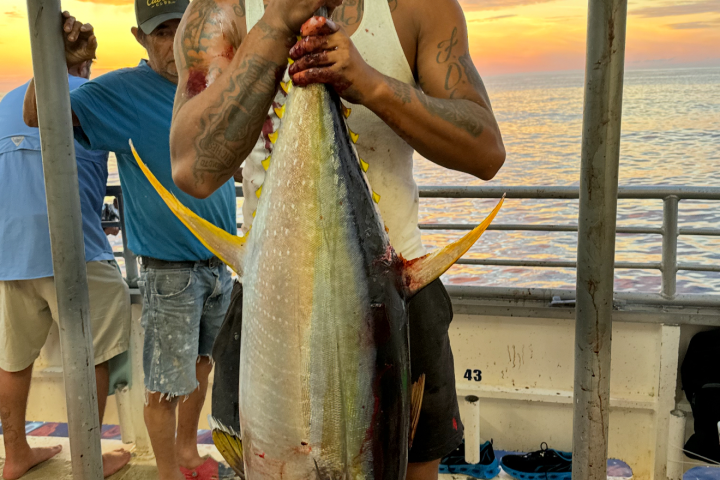 Man holding large fish on boat at sunset with colorful sky and ocean in background.