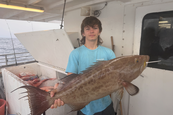 Person in blue shirt holding a large fish on a boat.