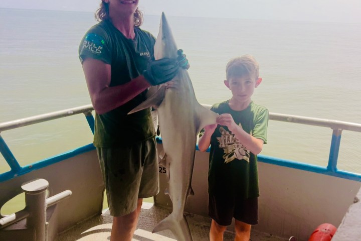 Two people on a boat holding a small shark with the ocean in the background.
